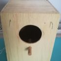 How Should Be A Zebra Finch Nest Box?