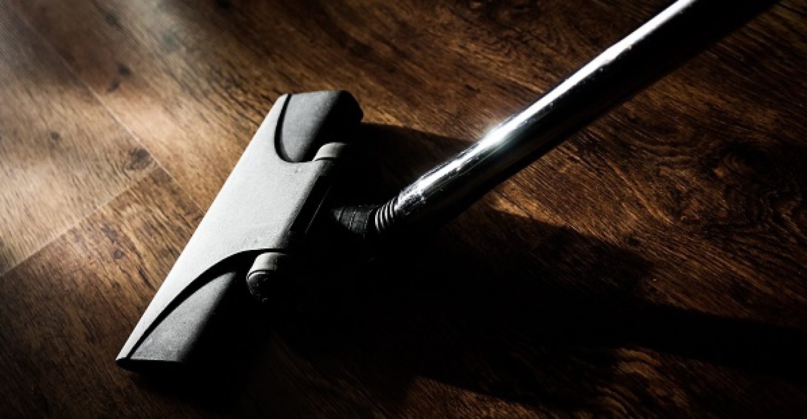 Kedili Evler İçin En İyi Elektrik Süpürgeleri | Hobi Medya