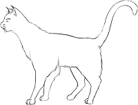Kedilerin Kuyruk Hareketlerinin Anlamı
kedi hareketleri ve anlamları
kedi hareketlerinin anlamı
kedilerin kuyruk hareketlerinin anlamı
kedilerin hareketleri ne anlama gelir
kedi duruşu anlamı